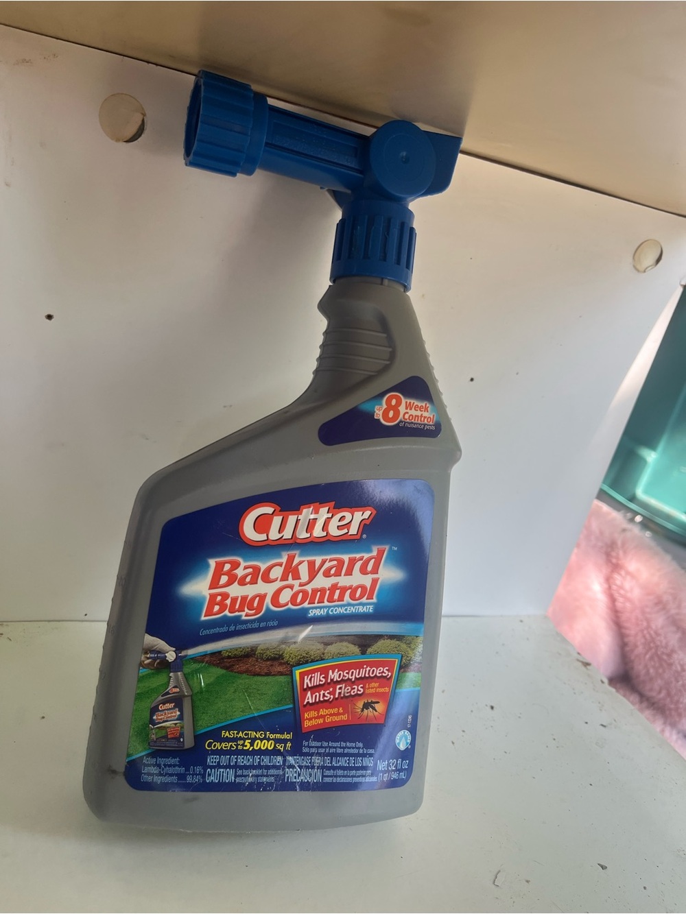 Backyard Bug Control Spray Concentrate - Gray/Blue